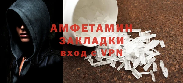 прущие грибы Новосибирск